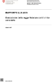 Rapporto LLN 2020 - Esecuzione della legge federale contro il lavoro nero